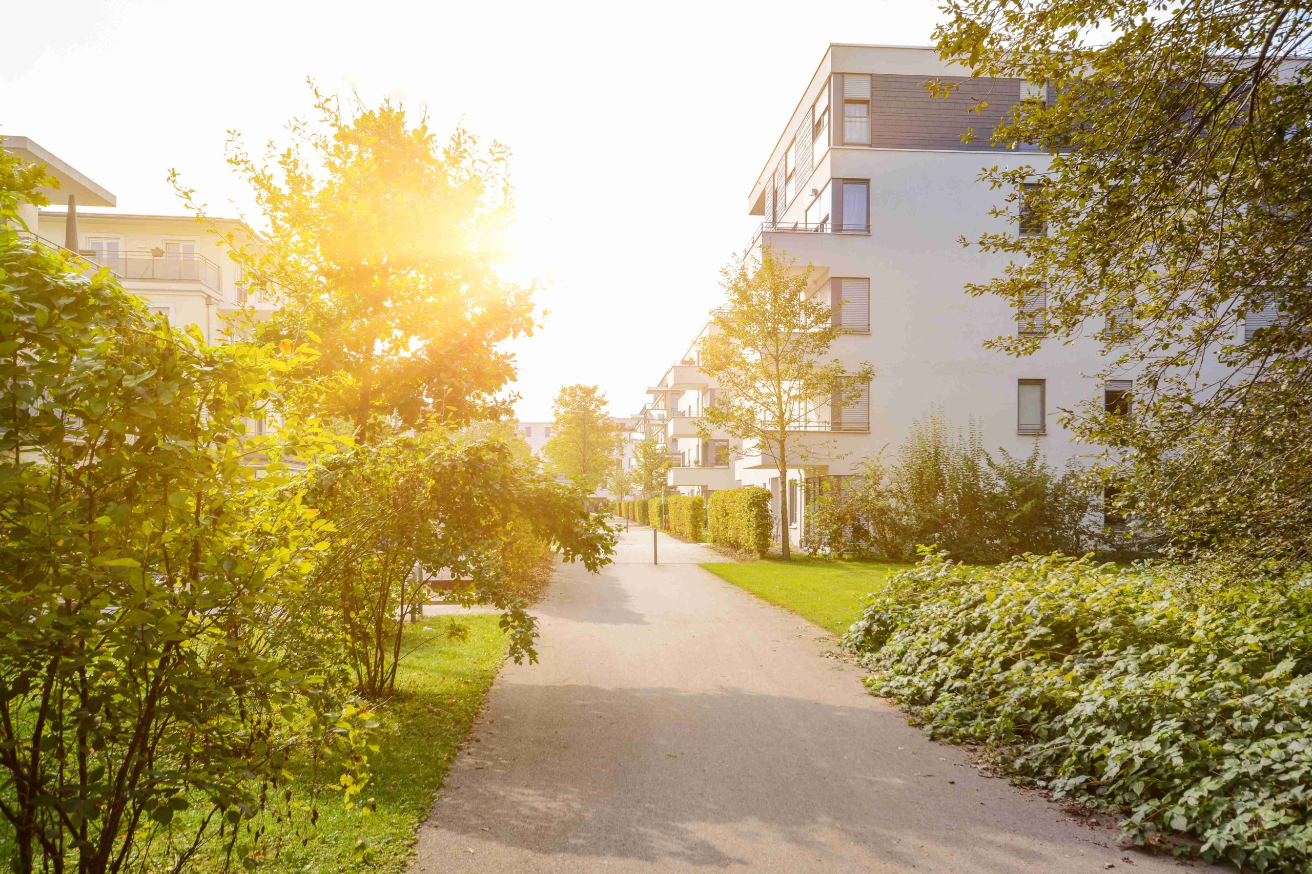 Footpath lined with trees and buildings