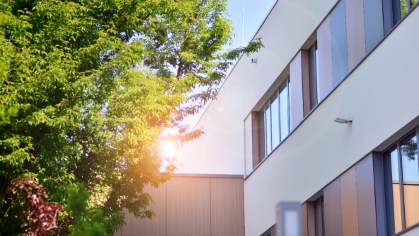 Apartment block with a tree next to it and the sun is shining